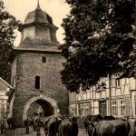 Stolberg/Harz . Rittertor mit Kuhherde