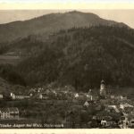Anger - Oststeiermark - Sommerfische Anger