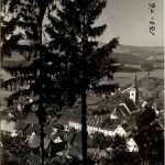 Graz/Steiermark - Sommerfrische Passeil