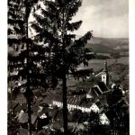 Graz/Steiermark - Sommerfrische Passeil