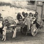 Caire - Charette transportant des femmes arabes