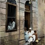 Caire - Fishmarket