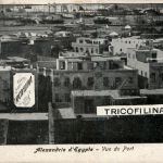 Alexandria - Vue du Port