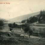 Wiesental im solling