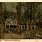 Braunschweig - Restaurantion v. Pawelsches Holz
