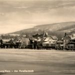 Ilsenburg - Am Forellenteich