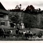 Hochwildpark Tuppelburg