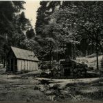 Weissmains Quelle - Fichtelgebirge