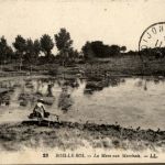 Bois le Roi - La Mare aux Marchais