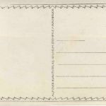 Plansee - Hotel Forelle