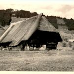 Wolfach
