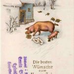 Neujahr - Schwein