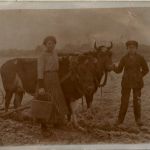 Landwirtschaft