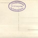 Birkenstein