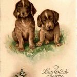 Neujahr - Dogs
