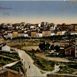 Pola