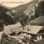 Aflenz/Steiermark - Schwabenbartl Fölz