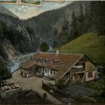Aflenz/Steiermark - Schwabenbartl Fölz