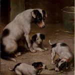Hunde