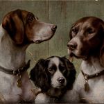 Hunde - Jack Russell