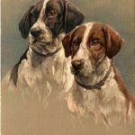 Hunde
