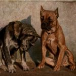 Hunde