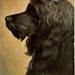 Hund