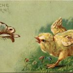 Ostern - Prägekarte - Chicken