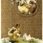 Ostern - Prägekarte - Chicken