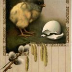 Ostern - Chicken