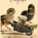 Ostern - Chicken - Frog