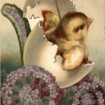 Ostern - Chicken