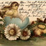 Ostern - Chicken