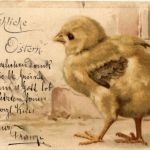 Ostern - Chicken