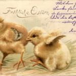 Ostern - Chicken