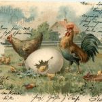 Ostern - Chicken