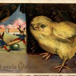 Ostern - Chicken