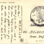 Hasselfelde