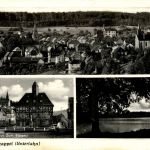 Holzappel