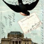 Gruss aus Wiesbaden - Schwalbe