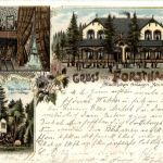 Neumünster - Gruss vom Forsthaus - Litho