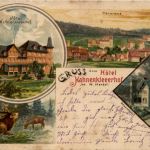 Gruss vom Hotel Hahnenkleerhof - Litho