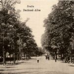Braila - Dennkmal allee