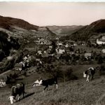 Altsimonswald