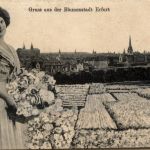 Gruss aus der Blumenstadt Erfurt