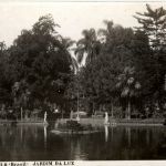 Sao Paulo - Jardin da Luz