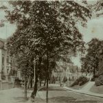 Recklinghausen - Herzogswall