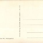 Neckargemünd - Neckarstrasse