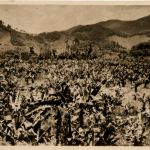 Santos - Plantacao de bananas