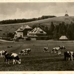 Berghotel Kandel